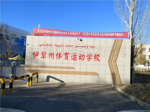 新疆伊犁體?；@球館運(yùn)動(dòng)地板案例
