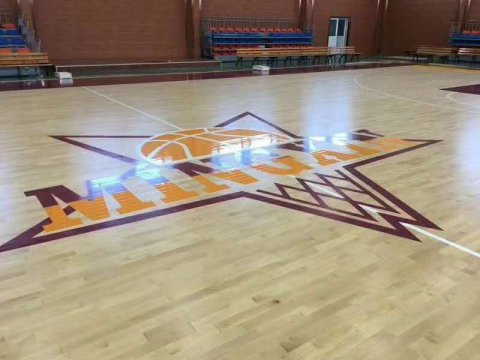 運(yùn)動(dòng)木地板個(gè)性調(diào)色加logo彩繪案例分享