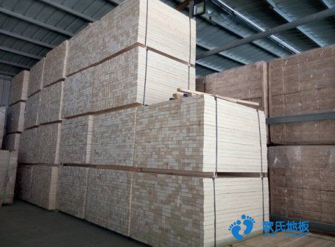 NBA新秀橫空出世，全美都在討論20歲的他