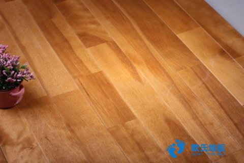 岳陽(yáng)運(yùn)動(dòng)木地板清潔