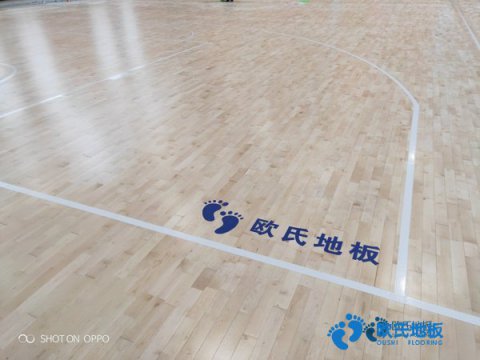 體育地板專(zhuān)業(yè)養(yǎng)護(hù)