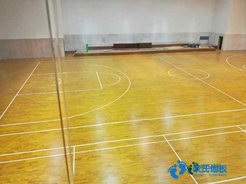 楓樺木籃球場木地板清潔保養(yǎng)