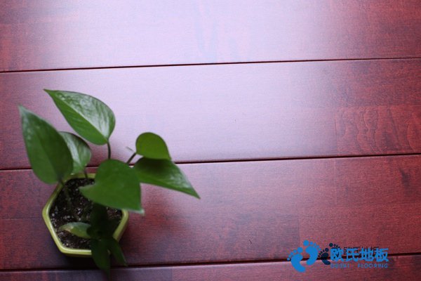 學校籃球地板的參數(shù)