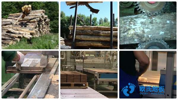 學(xué)校籃球場(chǎng)木地板防護(hù)