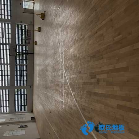 學?；@球館地板木紋型