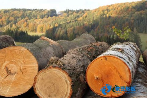 學(xué)?；@球地板減震技術(shù)