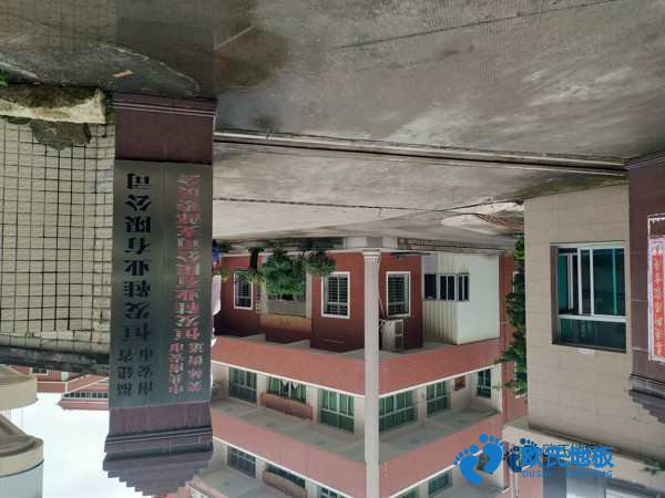 學(xué)?；@球場地地板防潮層