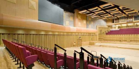 國標(biāo)運動場木地板