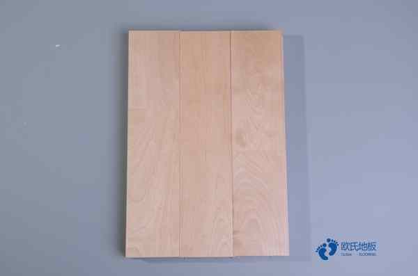 學(xué)校體育運(yùn)動木地板1