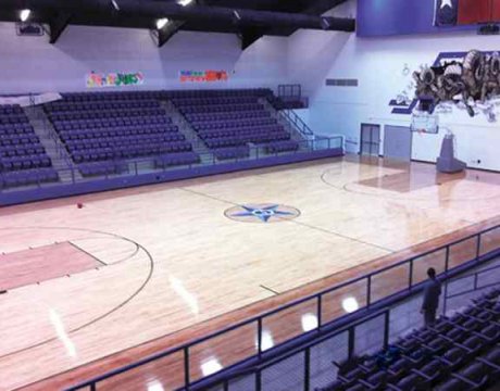 實木體育地板生產(chǎn)廠商