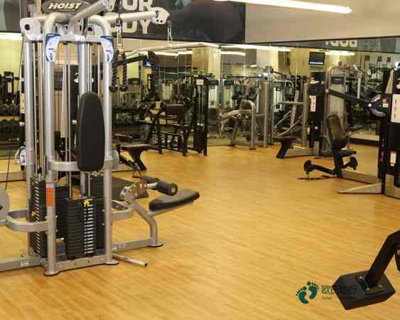 實木體育地板構(gòu)造2