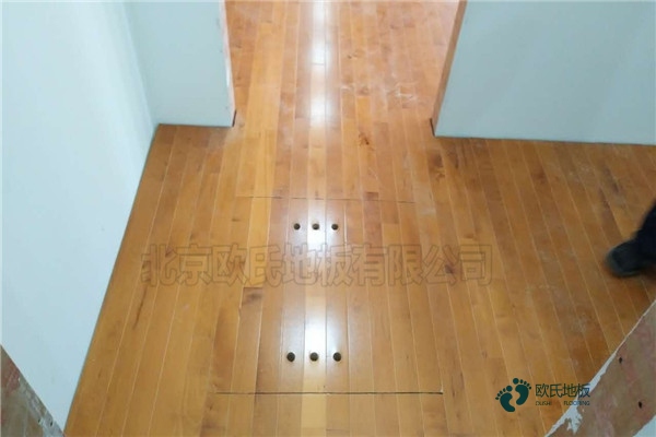 學?；@球館木地板減震2