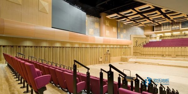 25厚運動型地板哪個牌子環(huán)保1