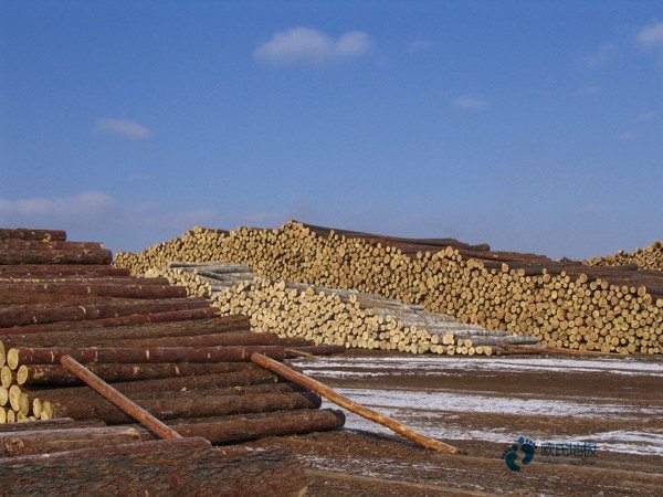 購買籃球場(chǎng)地木地板品牌排行榜1