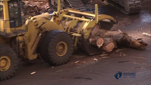 定制體育場(chǎng)地板牌子1