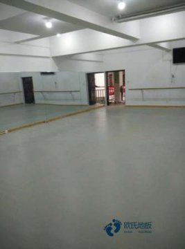 20厚運動型地板行業(yè)品牌