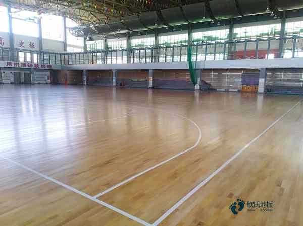 學?；@球場地地板標準尺寸1